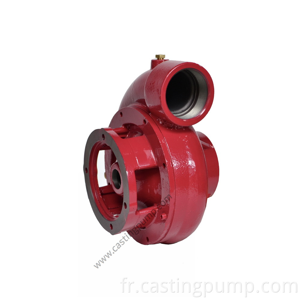 4 3 range casting iron pump (2)